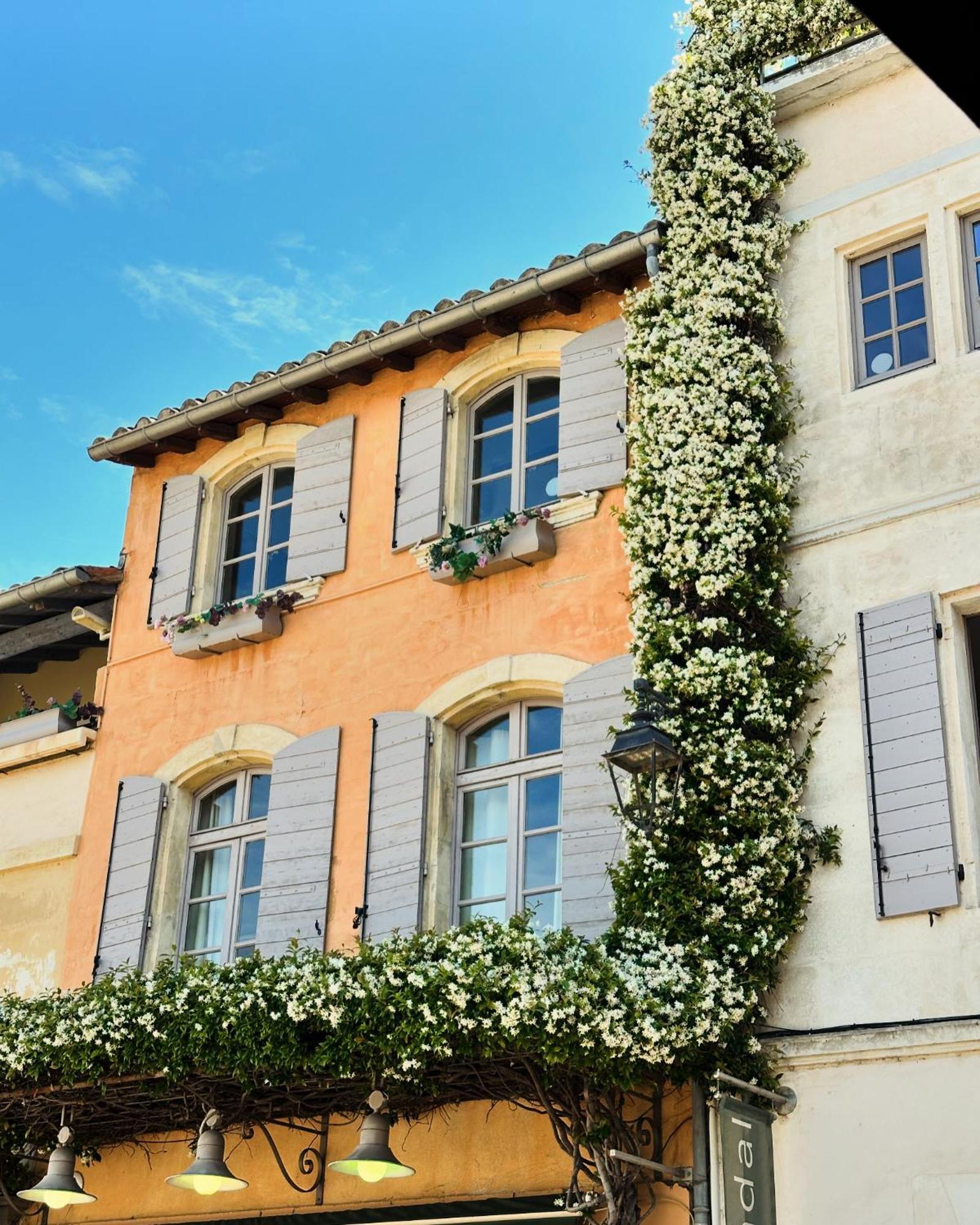 Maison Arenas Arles Dış mekan fotoğraf